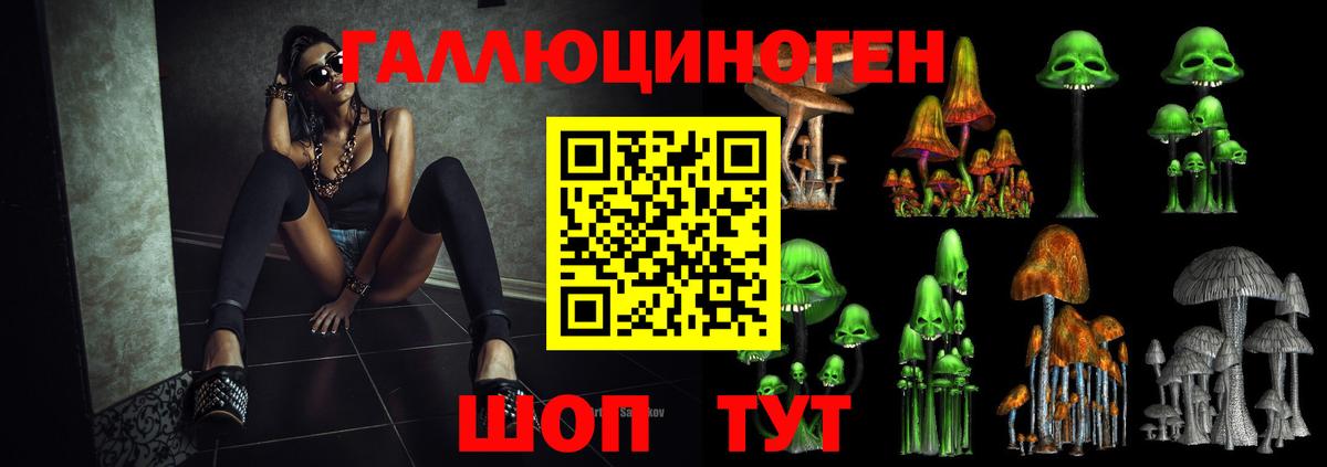 Галлюциногенные грибы MAGIC MUSHROOMS  Вход с VPN  Псилоцибиновые грибы Psilocybine cubensis  Дедовск 
